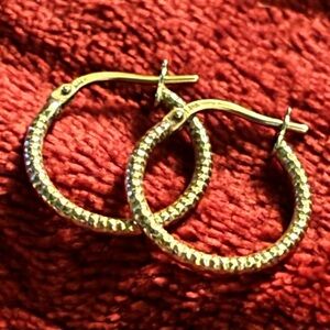 Elegant Gold Hoop Earrings